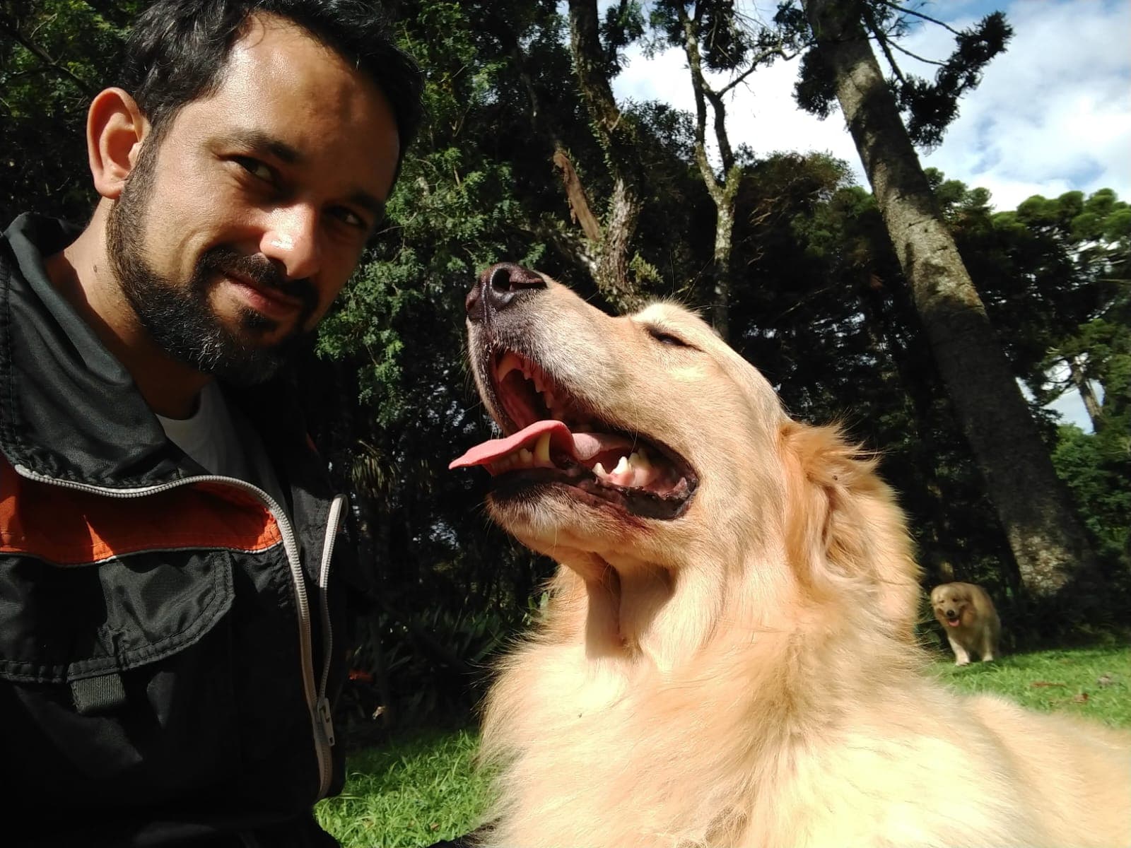 Banner TioFer - Adestramento Canino